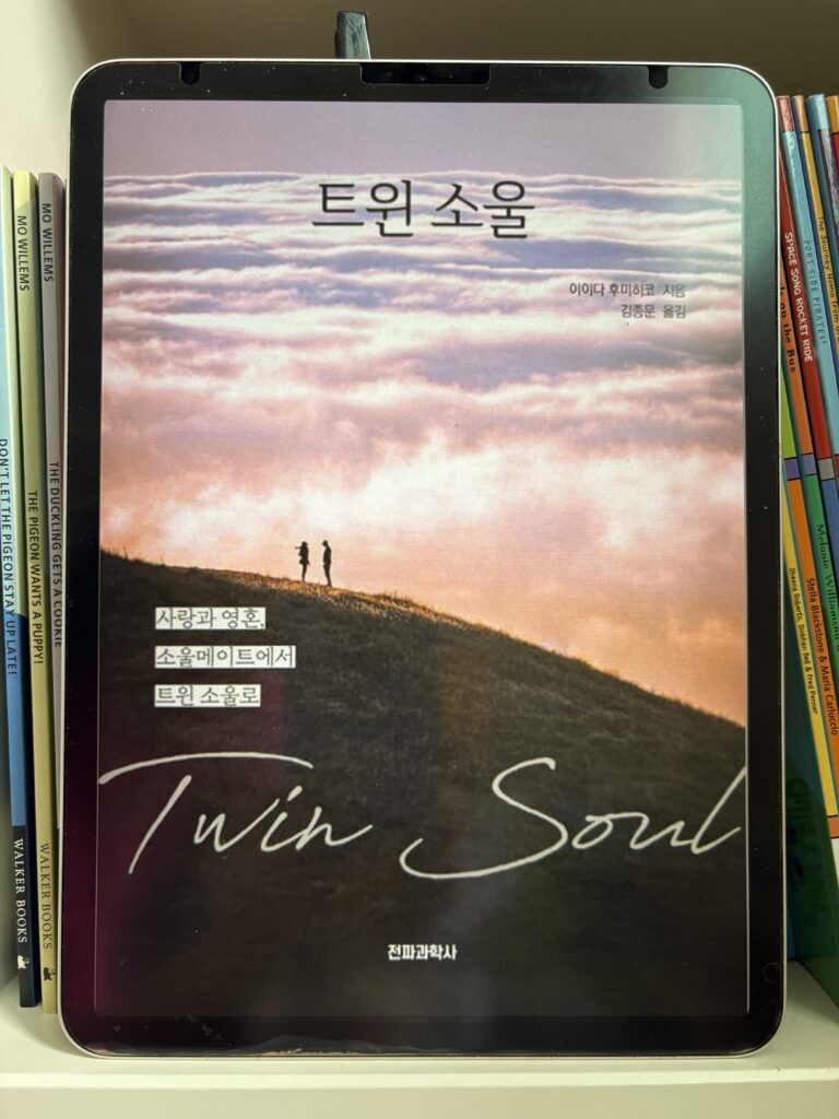 이이다 후미히코 '트윈 소울' 전자책 표지 사진